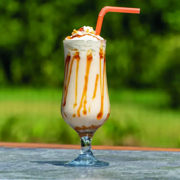 Kavunlu Milkshake